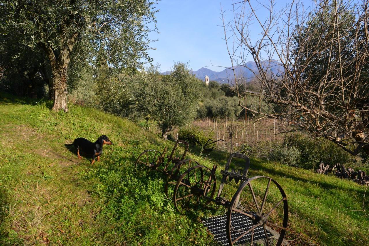 Antiche Mura Casa Vacanze Puegnago Buitenkant foto