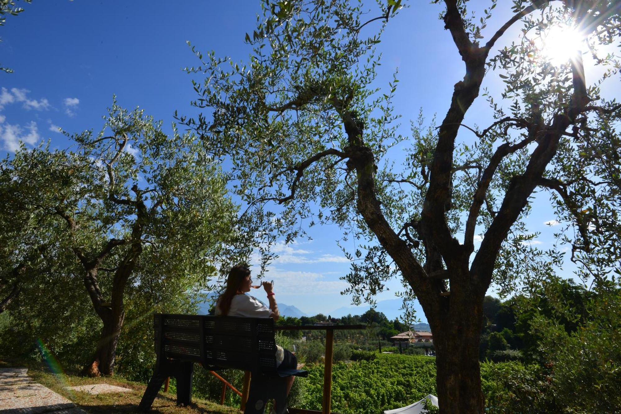 Antiche Mura Casa Vacanze Puegnago Buitenkant foto