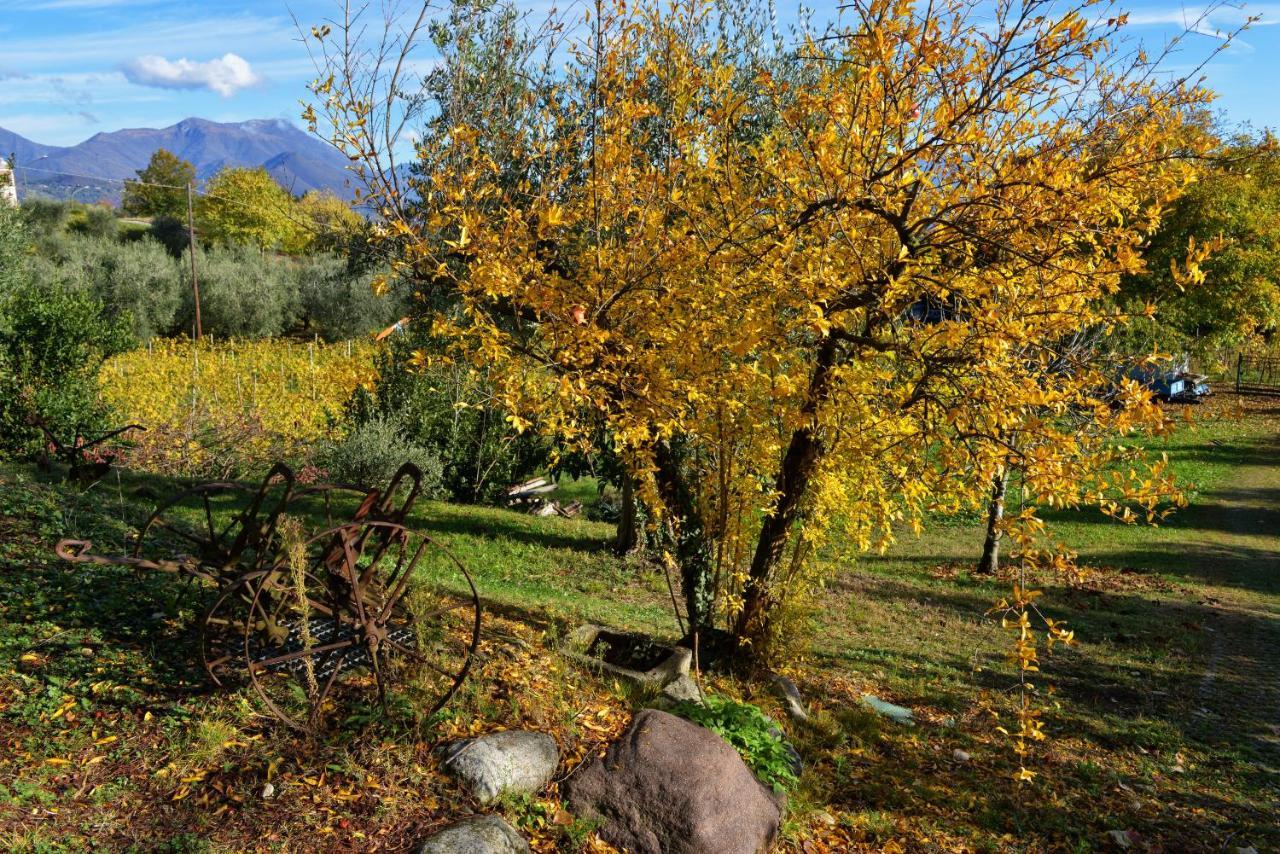 Antiche Mura Casa Vacanze Puegnago Buitenkant foto